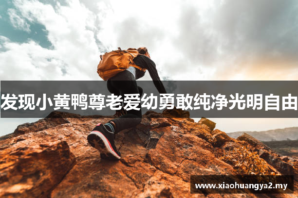 发现小黄鸭尊老爱幼勇敢纯净光明自由
